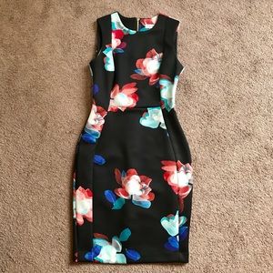 Calvin Klein Floral Scuba Sheath Dress Size 4